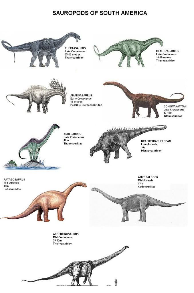 types of sauropods